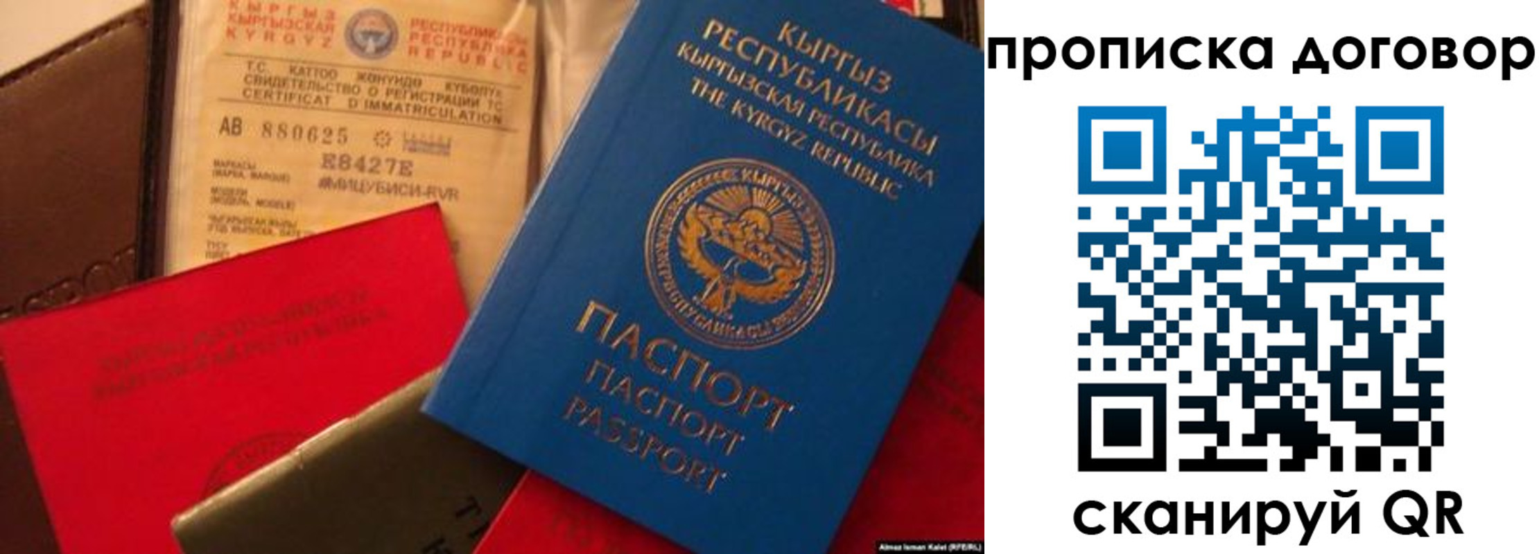 прописка законно в Амурской области
